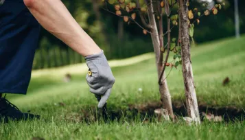Gartenbau bei Oetken Objektbetreuung